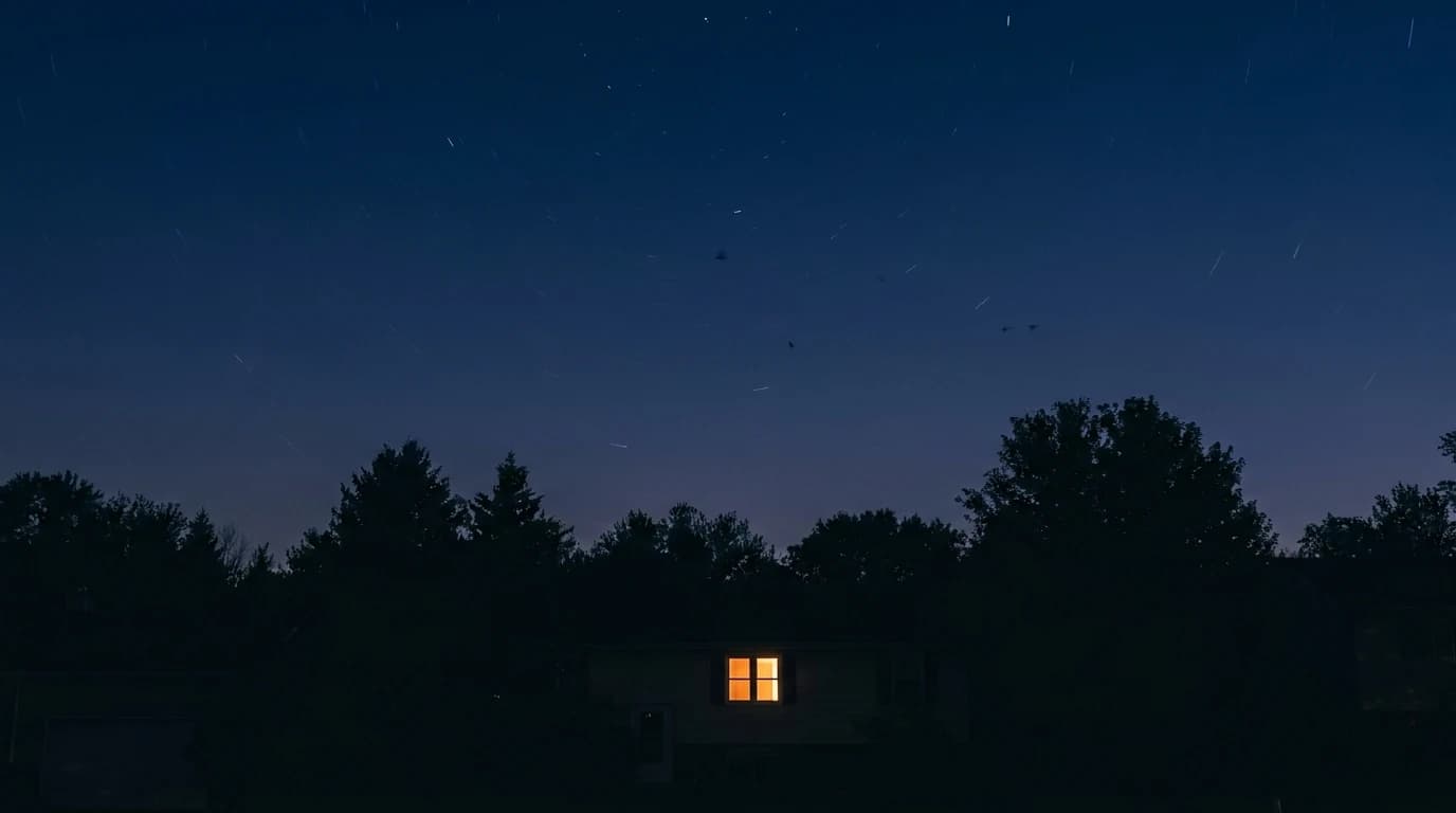 A dark night sky over a suburban treeline with a lit window below and the faint suggestion of birds passing high overhead.