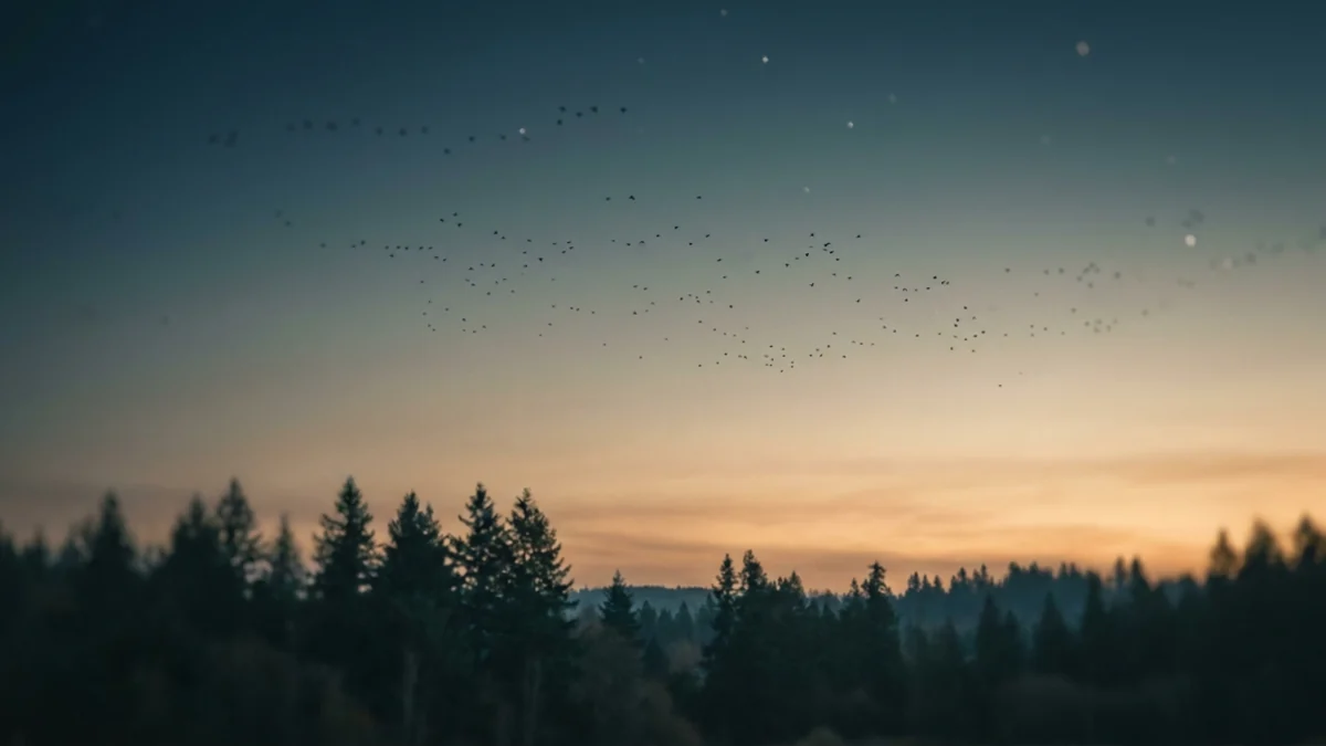 How to Use BirdCast to Time Your Best Birding Days