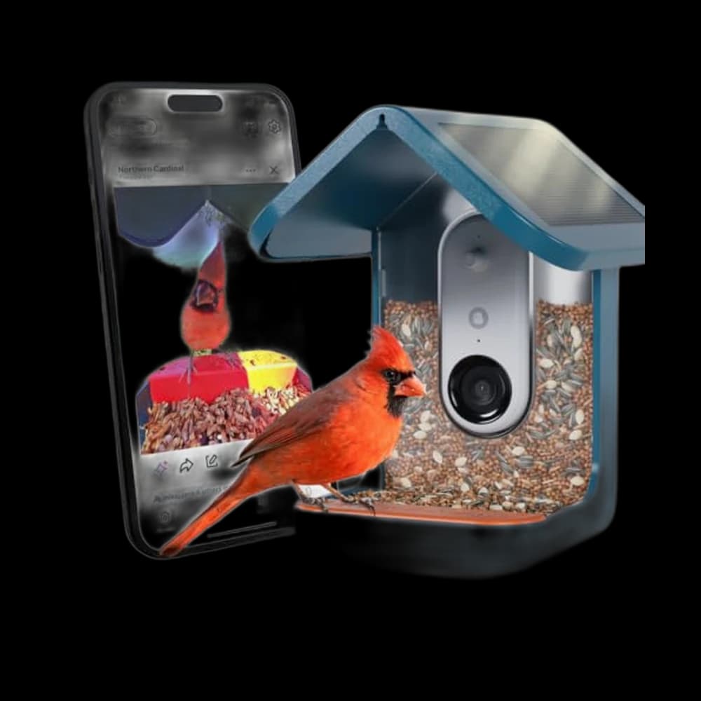 Birdbuddy PRO Solar Smart Bird Feeder with Camera - AI Bird Species…