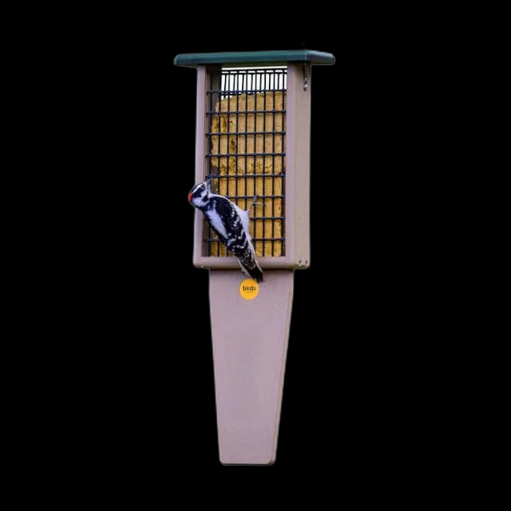 Birds Choice Pileated Suet Feeder with Tail Prop, Holds 2 Suet Cakes