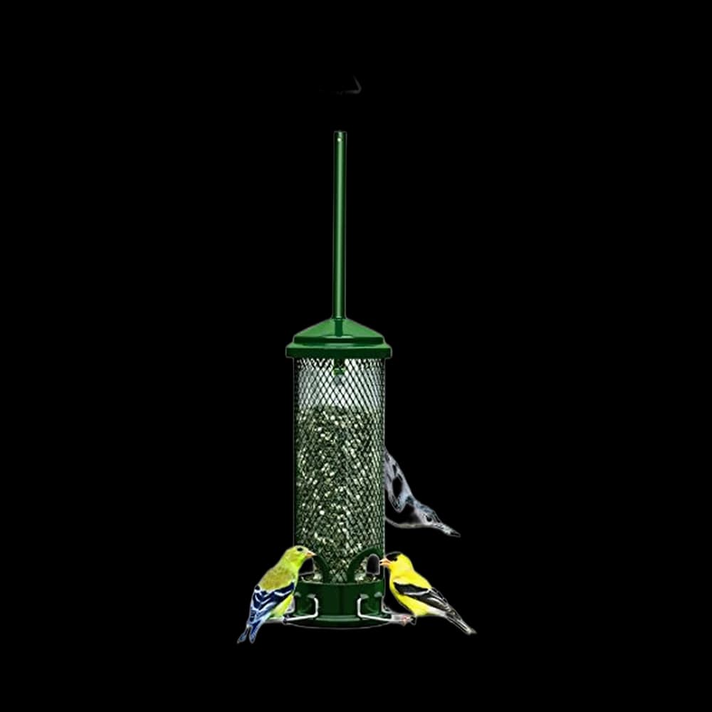 Squirrel Buster Mini Squirrel-Proof Bird Feeder for Wild Birds