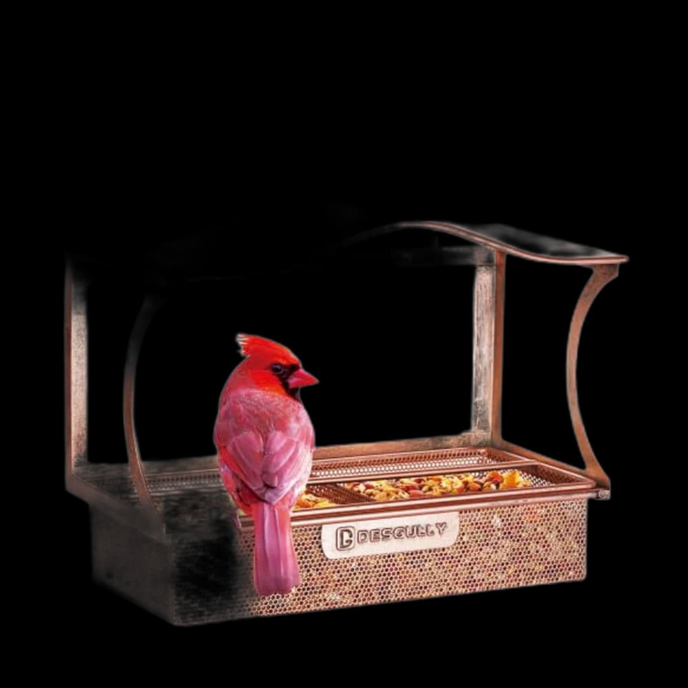 Window Bird Feeder, Metal - with Strong Suction Cups, Large Outdoor…