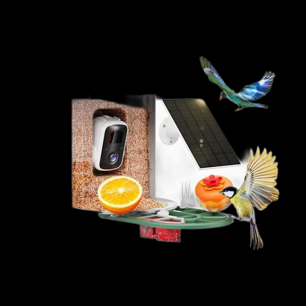 HARYMOR Smart Bird Feeder with Camera - AI Identify Birds Species,…