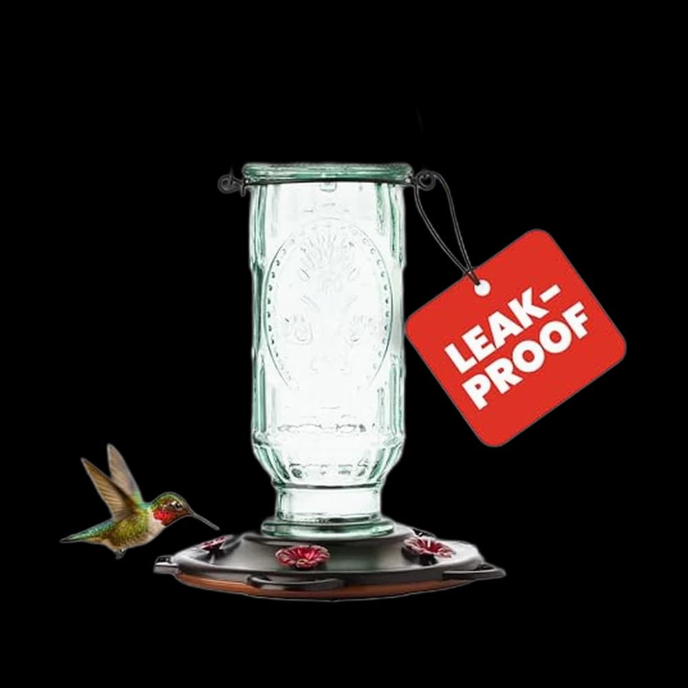 More Birds Vintage Glass Hummingbird Feeder, 20 oz Nectar Capacity