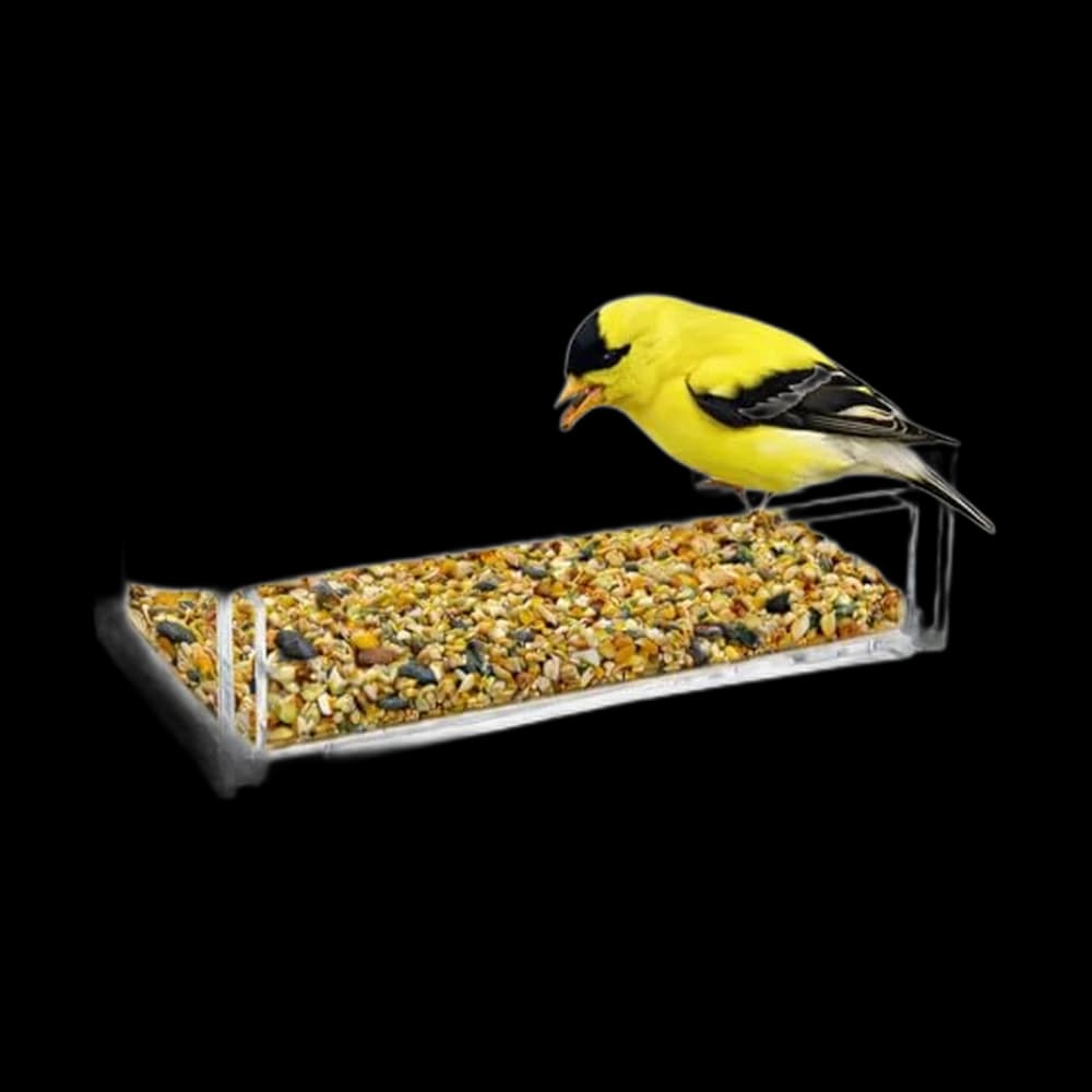 Nature Gear Window Bird Feeder with Strong Suction Cups, Clear…