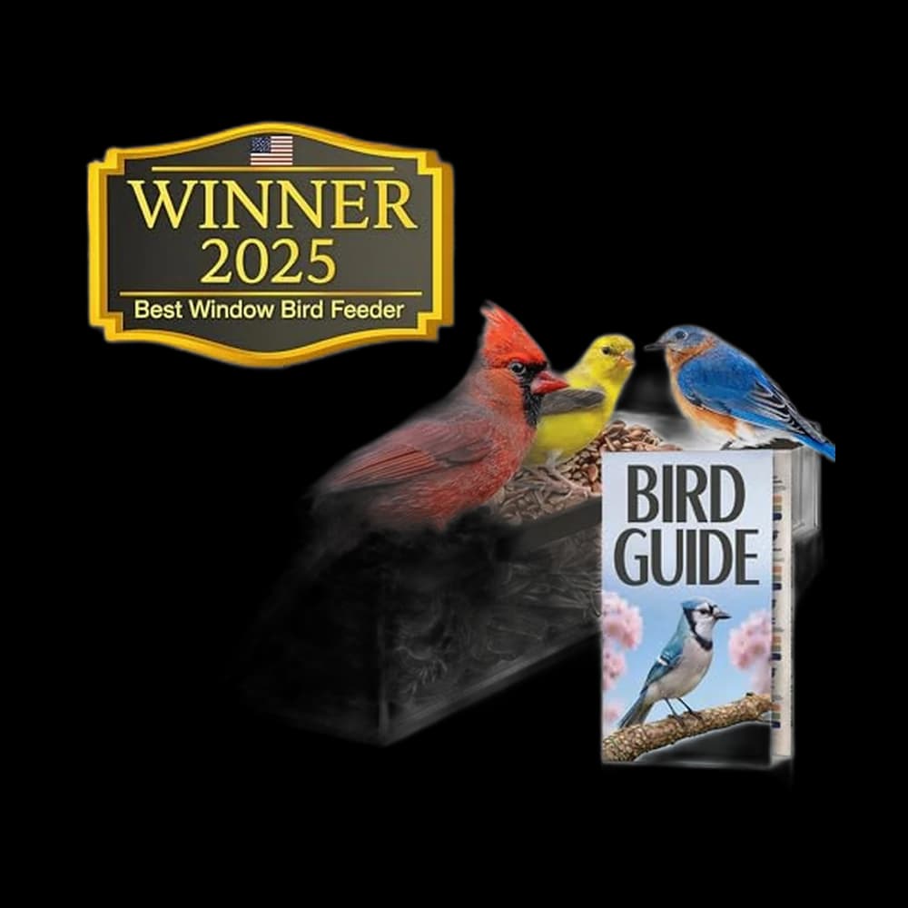 Window Bird Feeder by Nature’s Hangout - Award-Winning Clear…