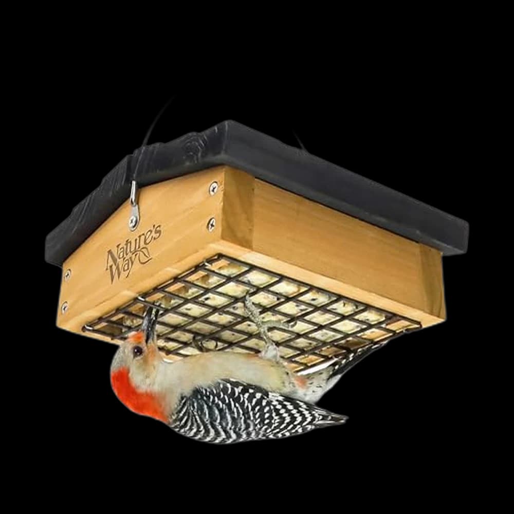 Nature’s Way Cedar Inverted Suet Feeder for Clinging Birds, Hanging…