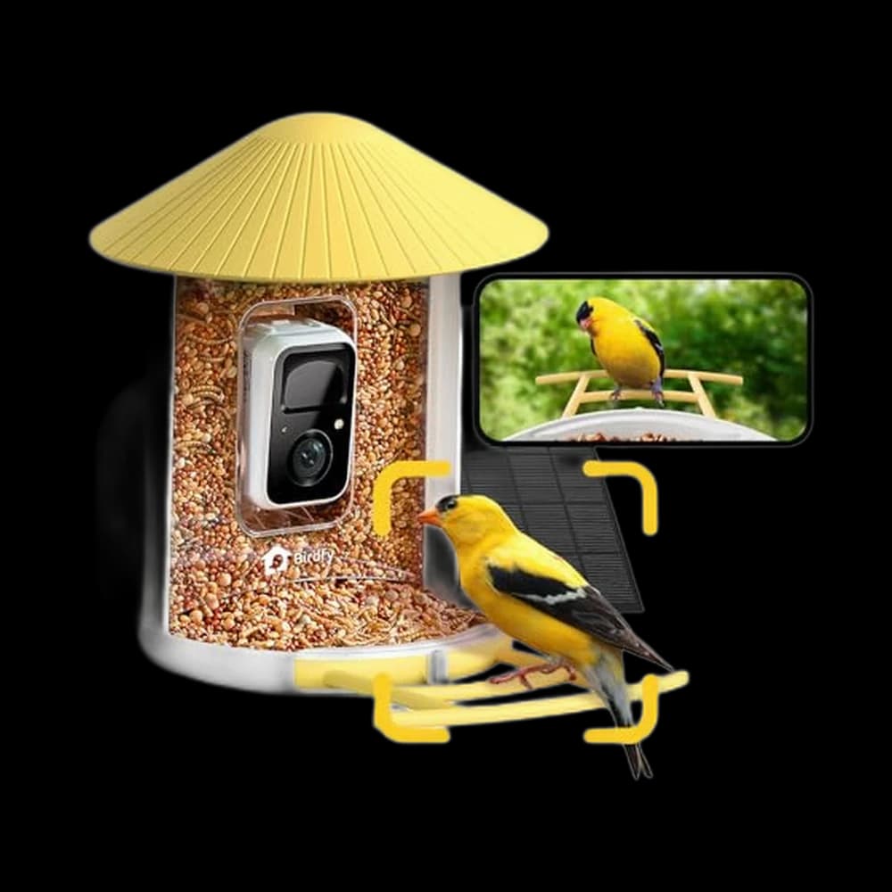 NETVUE by Birdfy Smart Bird Feeder with Camera