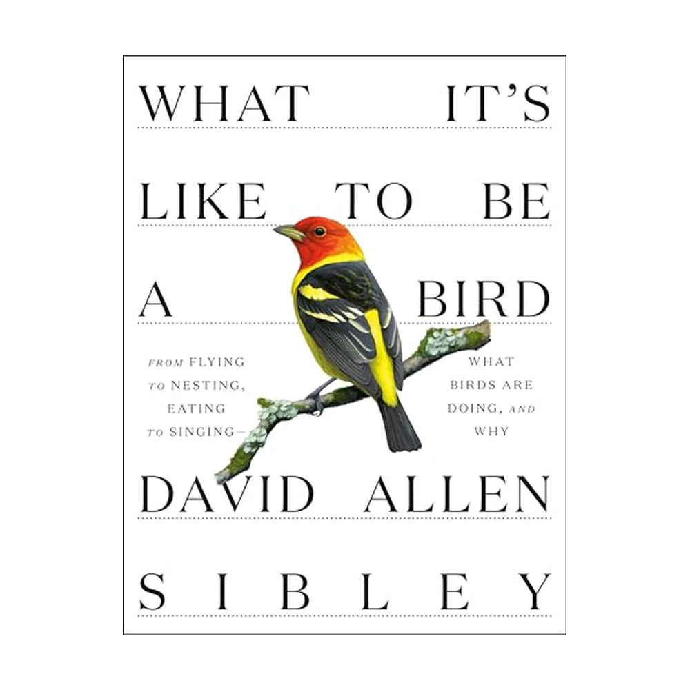 What It's Like to Be a Bird: From Flying to Nesting, Eating to…