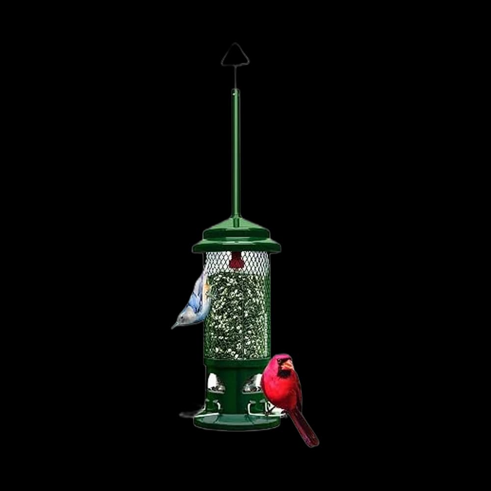 Squirrel Buster Standard Truly Squirrel-Proof Bird Feeder
